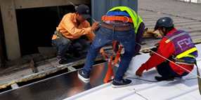 Thay tôn nhà xưởng Thay tôn nhà xưởng