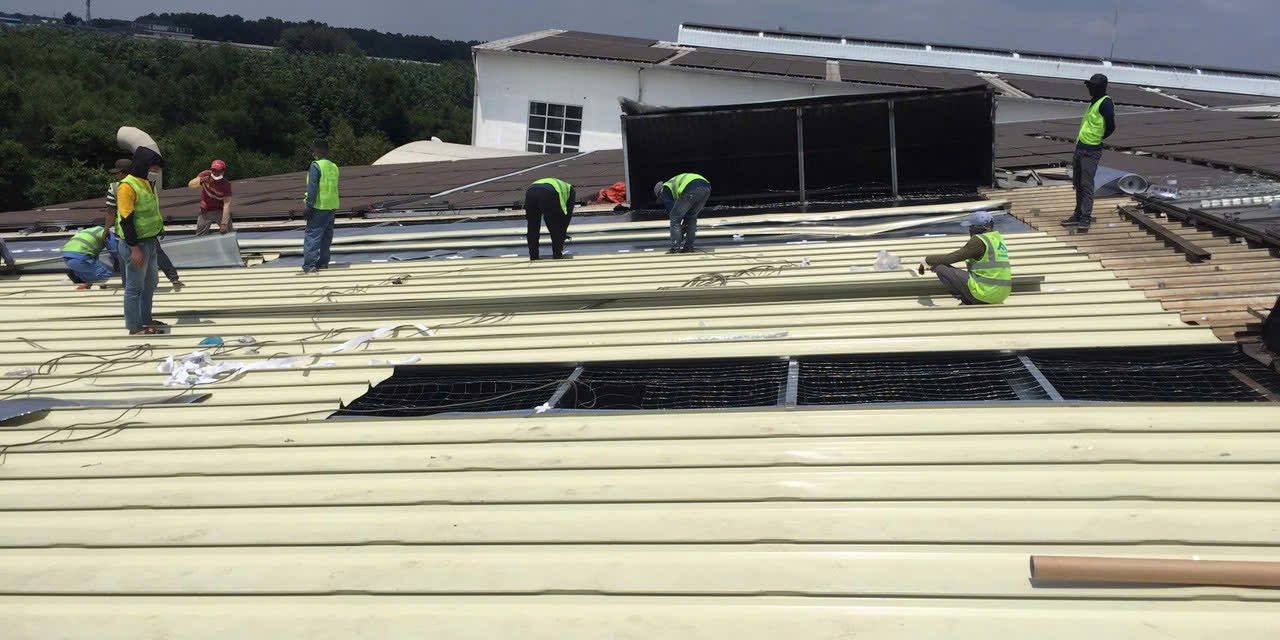 z5898055282700_e3c32a1b4b1c15e700db6fd3edf724d4